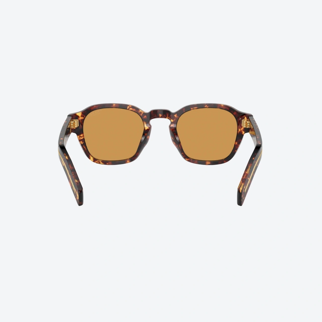 PR A16S Magma Tortoise